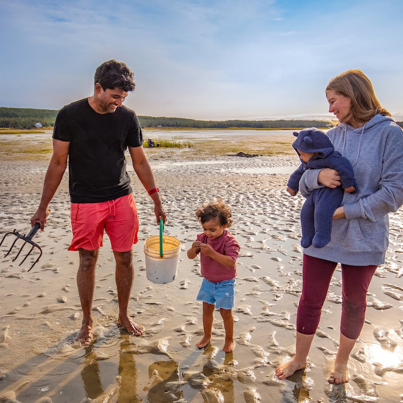 Clam Digging Adventure at Clam Harbour