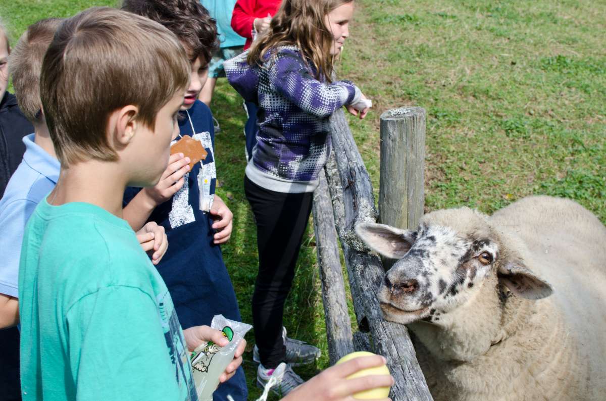 Cole Harbour Heritage Farm Museum