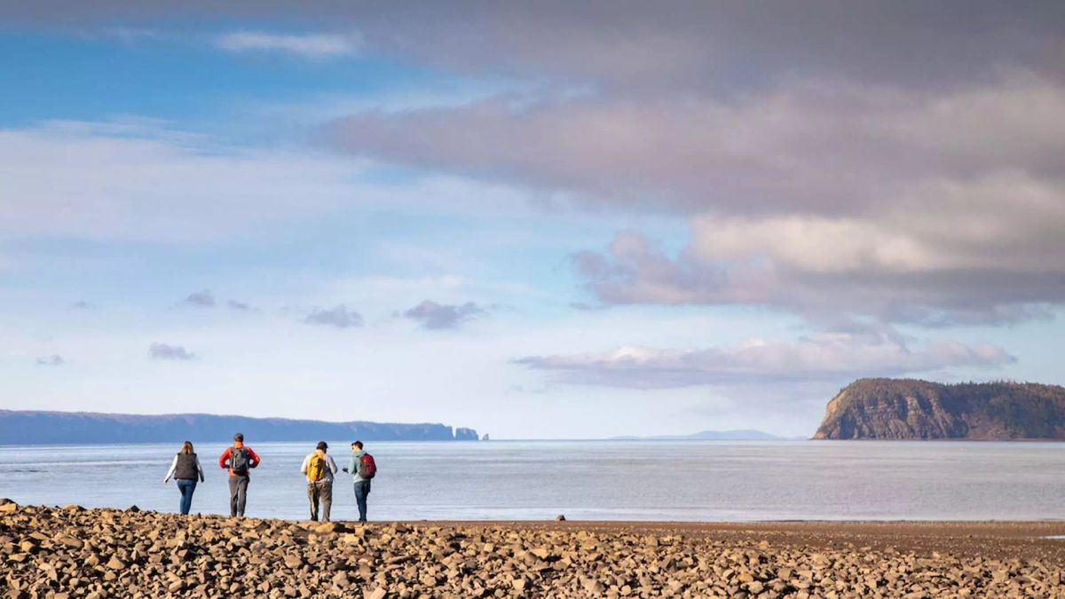 Fundy Treasures Tours