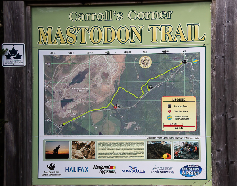 Mastodon Trail
