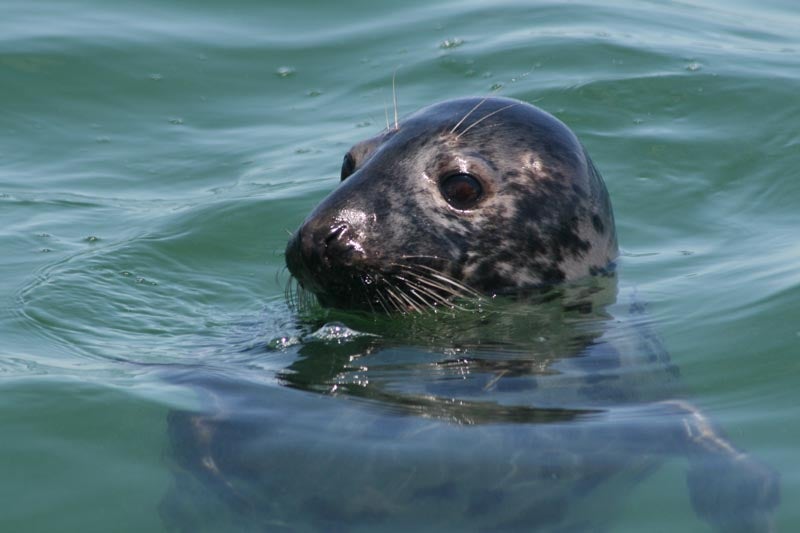 Nova Scotia Family Fun Boat Tours