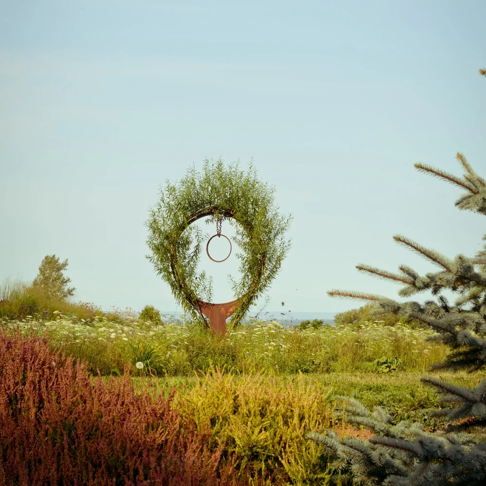Tangled Garden