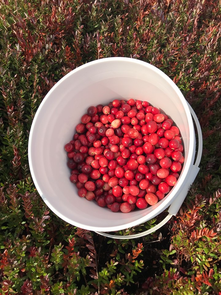 Terra Beata Farms