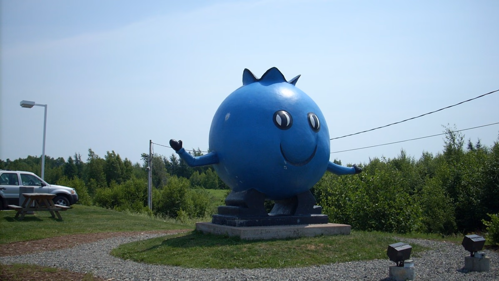 Nova Scotia Wild Blueberry Harvest Festival